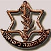 צבא ההגנה לישראל